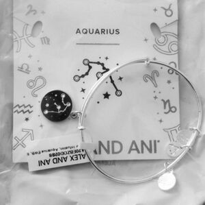 ALEX AND ANI AQUARIUS SILVER BANGLE NWT